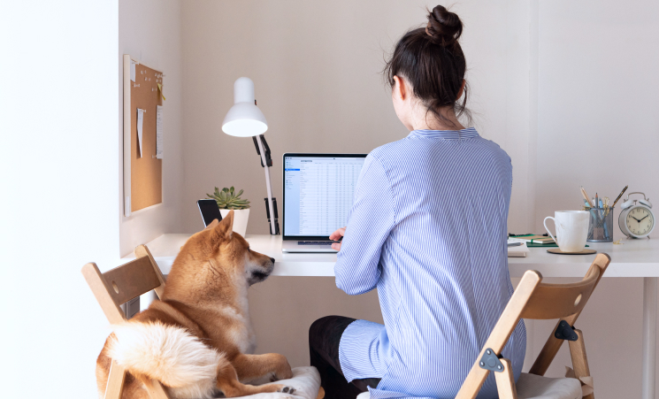 Checking breath male veterinarian work uniform listening breath small